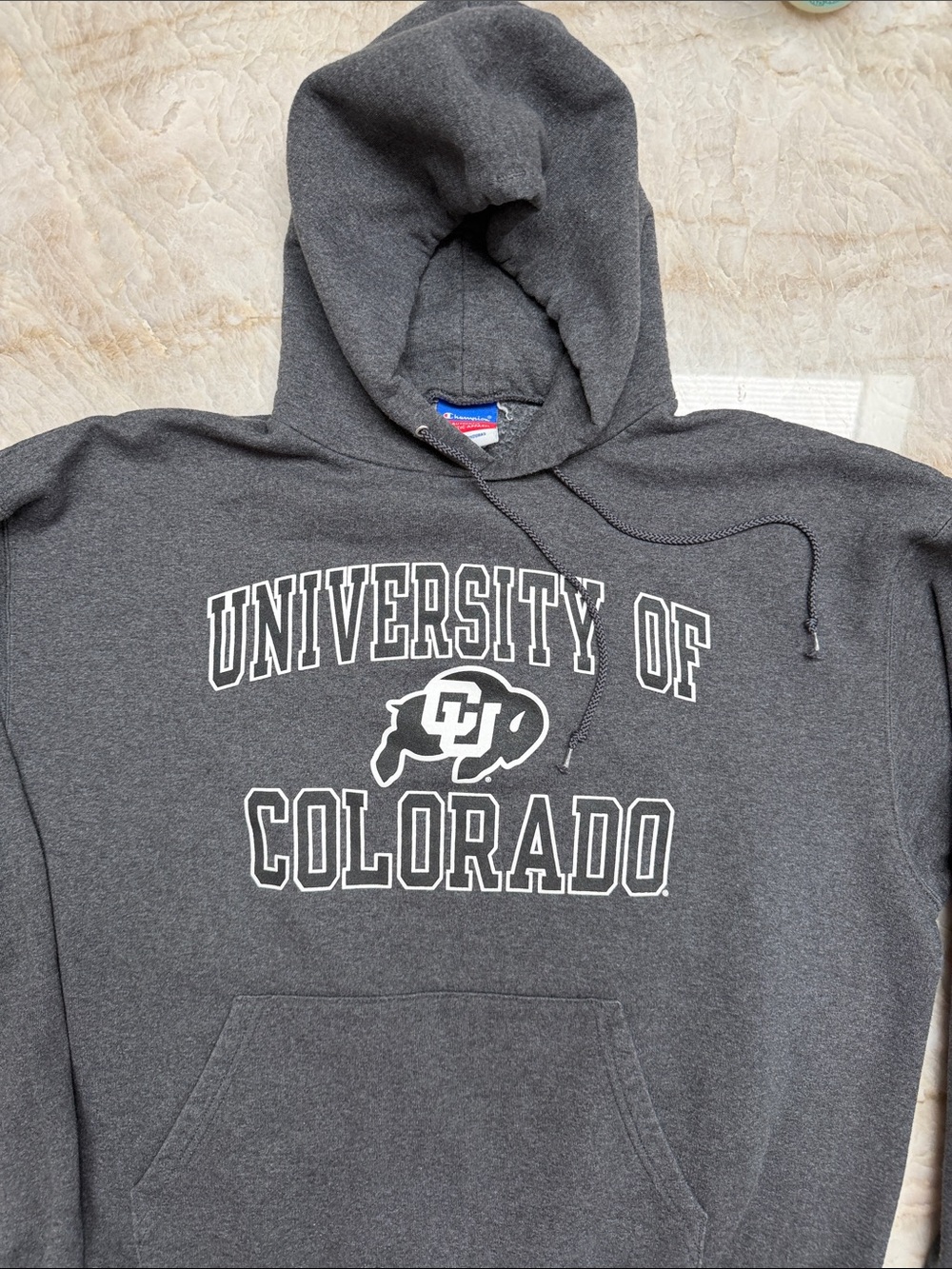 Champion Gray University Graphic Hooded Sweatshirt